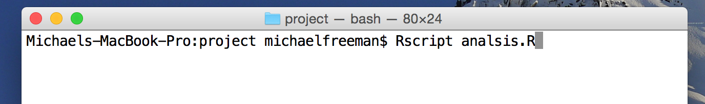 screenshot of terminal running r script